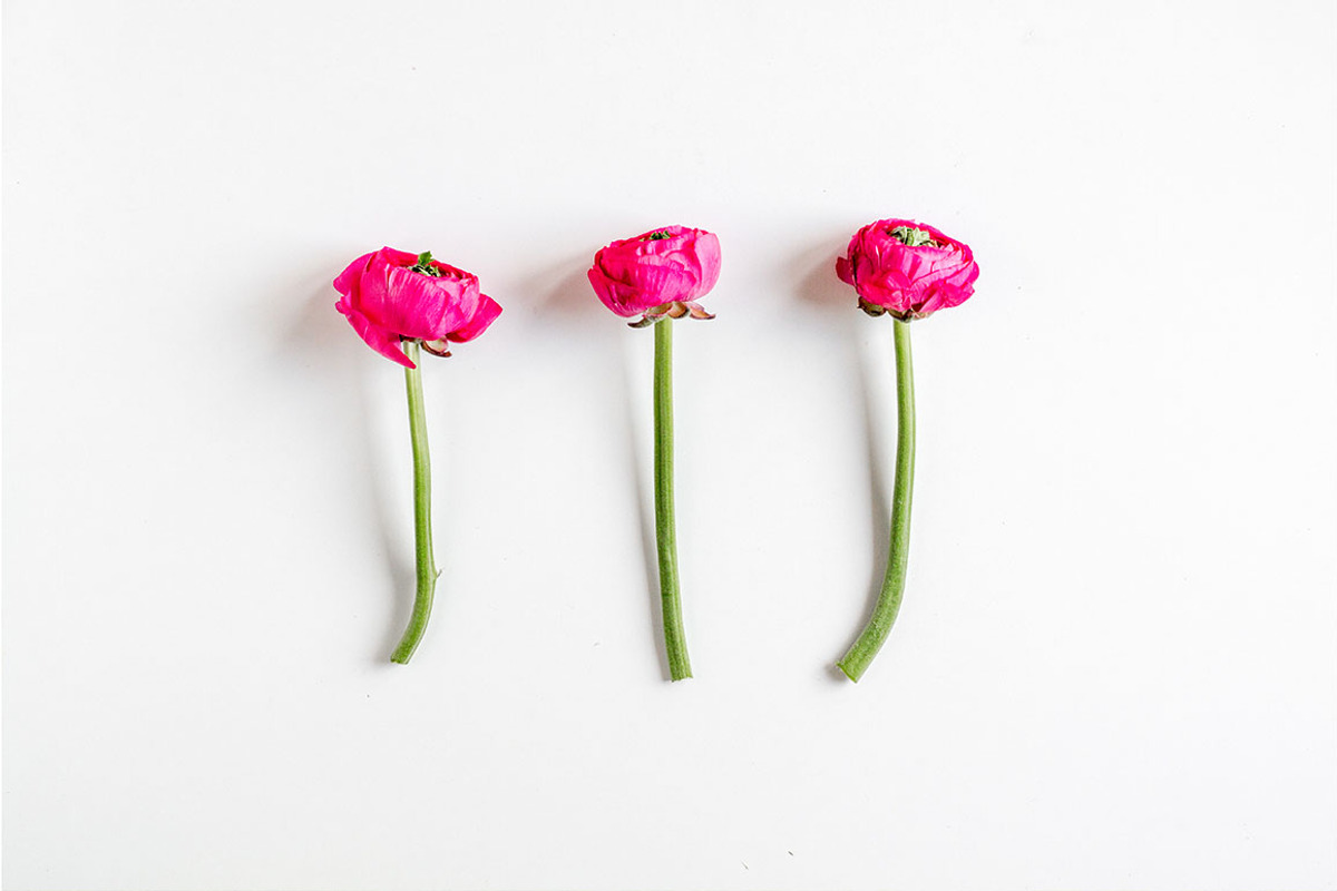 3x3 Floral Pattern Trios mockups, a Books & Magazine Mockup by oh.clarita (Photo 8 of 8)