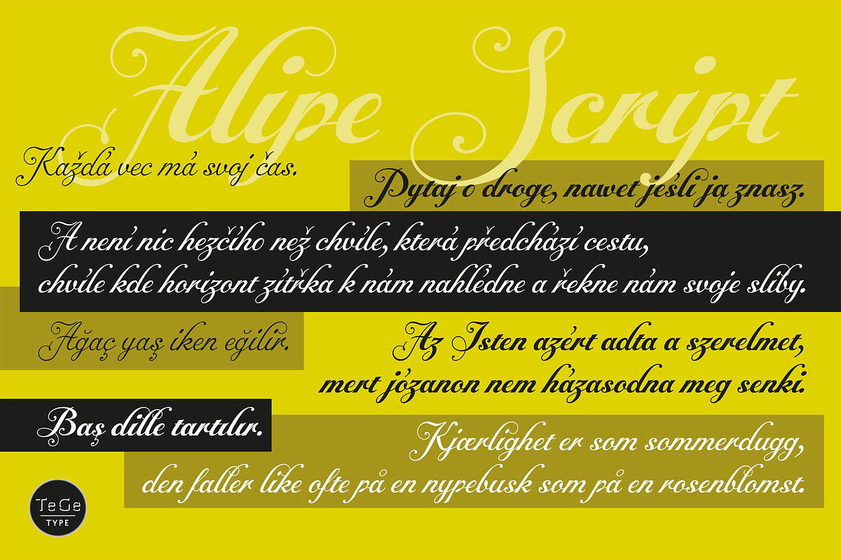 Alipe Script, a Script Font by TeGeType foundry (Photo 4 of 6)