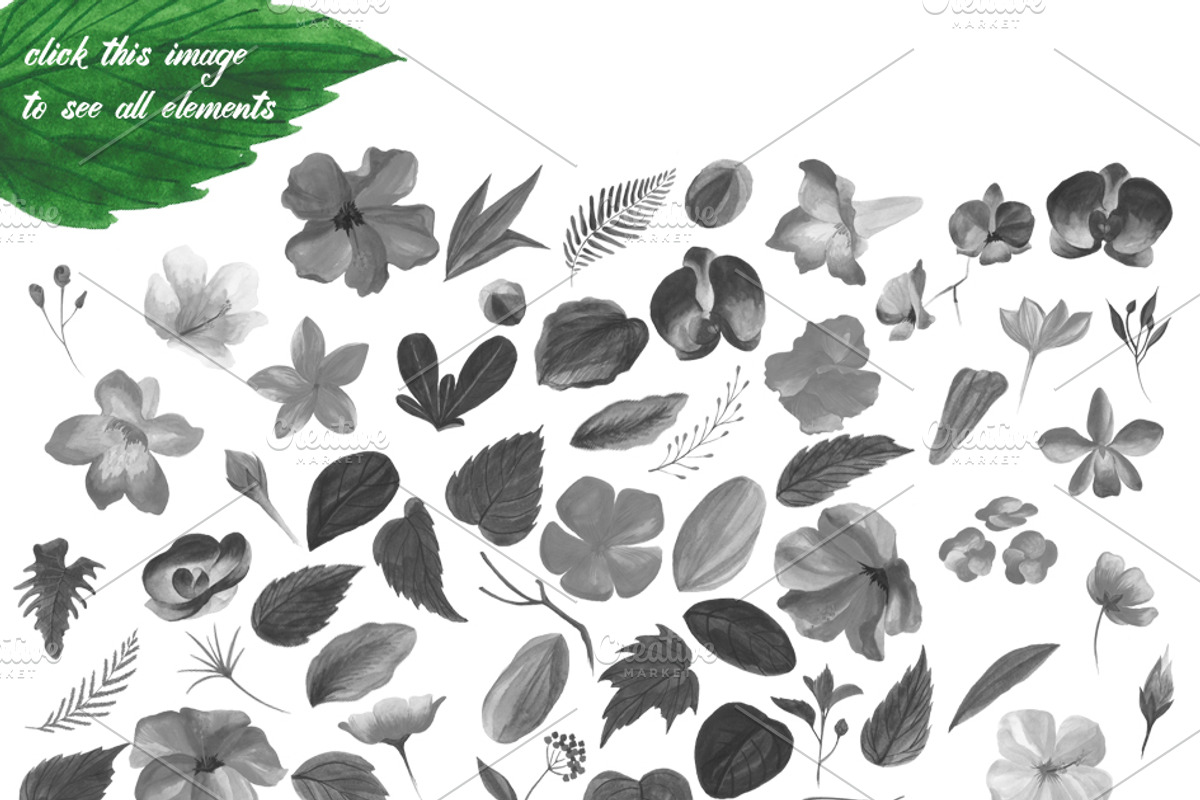 Photoshop Brushes watercolor flowers preview 4