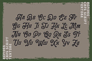 Hepives Font Family, a Script Font by Nocturnal Workspace (Thumbnail 10 of 15)