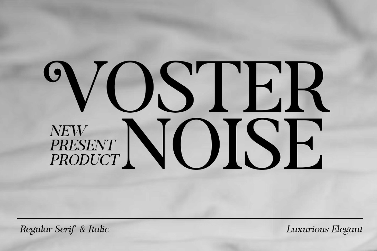Voster Noise, a Serif Font by Propertype (Photo 1 of 10)