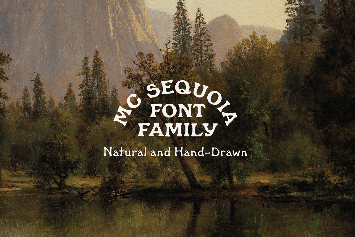 MC Sequoia - Font Family, a Font by McLetters (Photo 1 of 10)