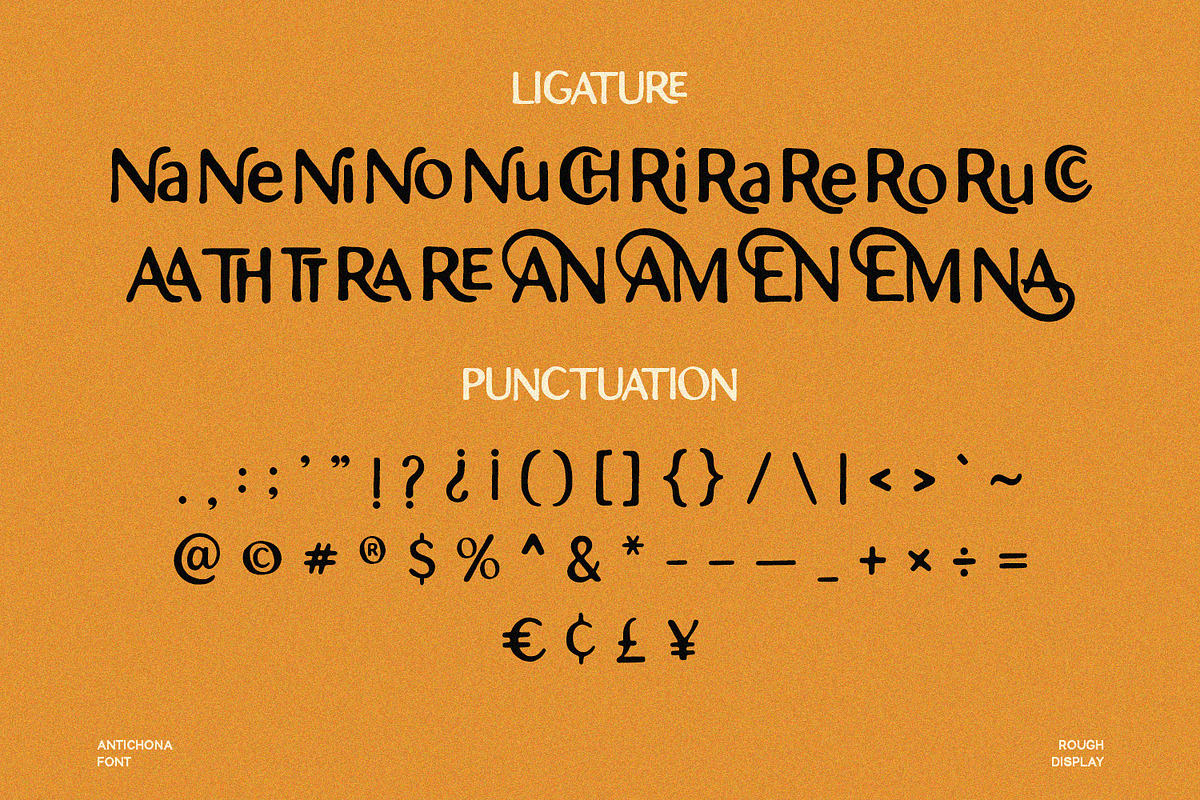 Antichona - Rough Sans Font, a Script Font by Alpaprana (Photo 10 of 12)