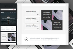 Beatify - Responsive Email Template