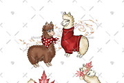 Alpaca Cliparts, an Illustration by Phantasia Design (Thumbnail 2 of 8)