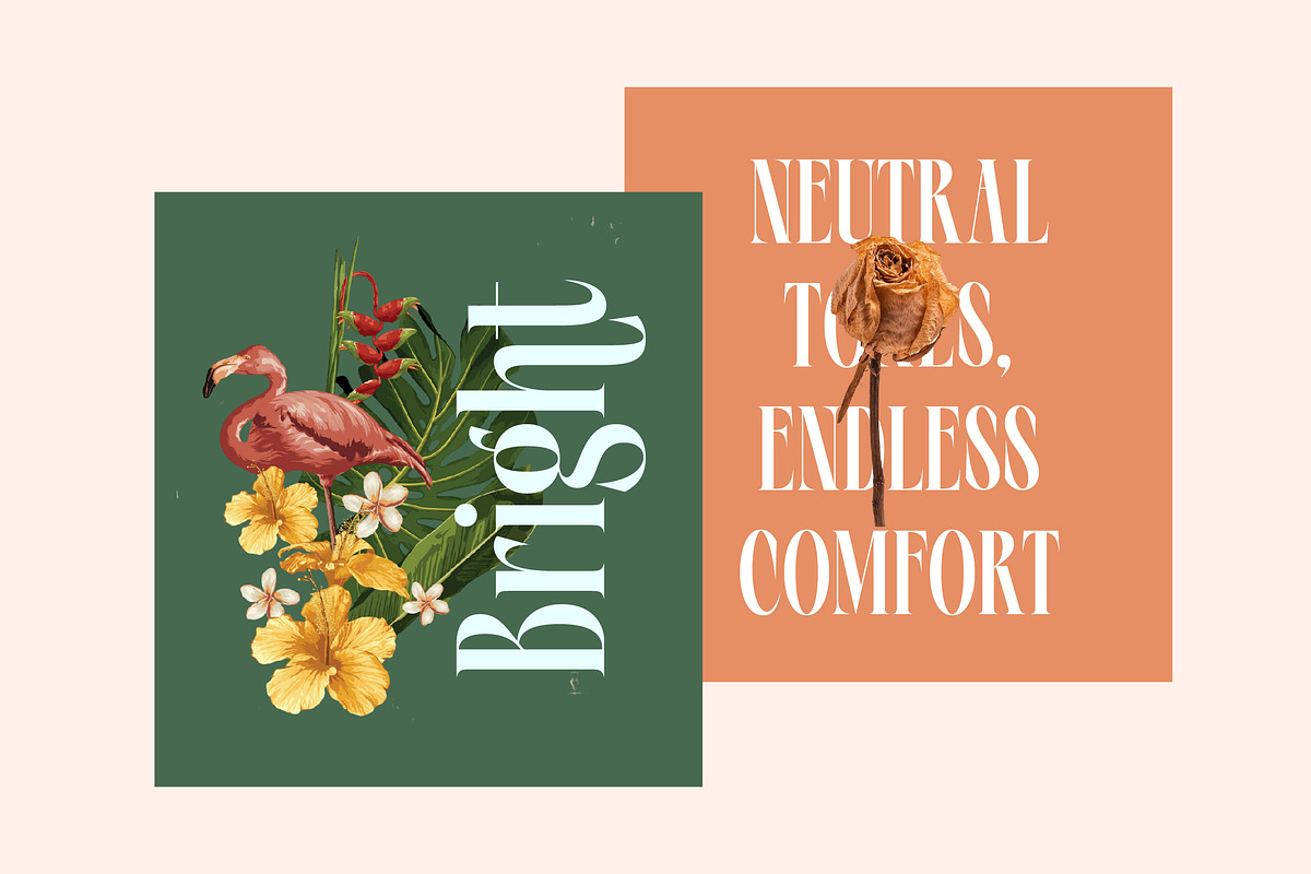 Repslag Brocker Luxury Serif Font, a Serif Font by timelesstype.co (Photo 7 of 20)
