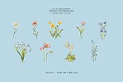 Primavera in Bottega, a Seasonal Illustration by Sara Zanello (Thumbnail 4 of 24)
