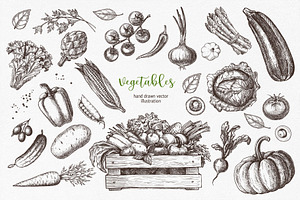 Vegetables. Hand Drawn Collection.