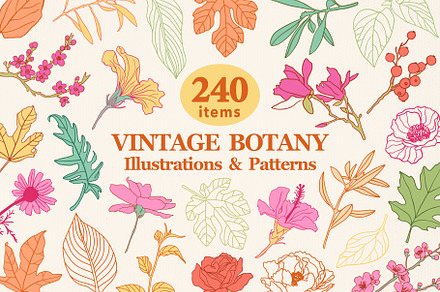 Botany Illustrations and Patterns