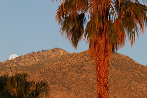 Dawn, Palm Springs, CA