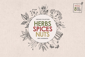 Herbs, Spices, Nuts. Hand drawn set.