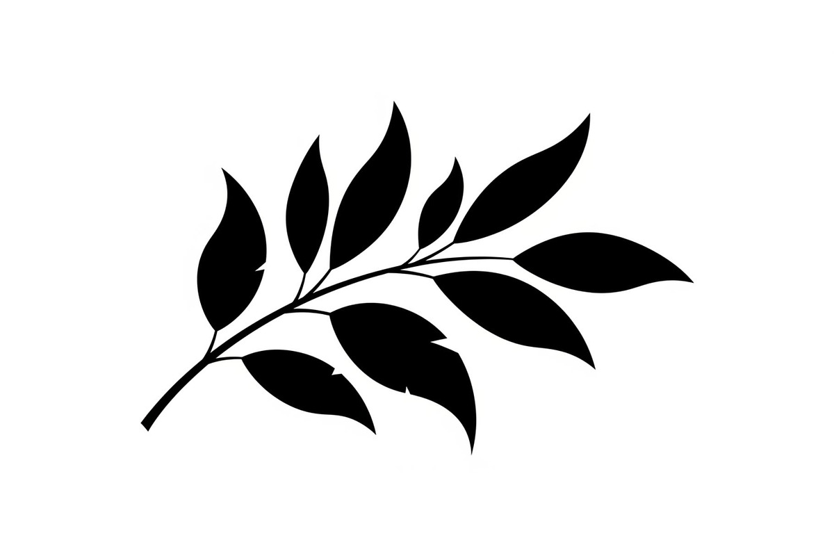 Botanical Leaf Silhouette Bundle, an Illustration by yasushie (Photo 19 of 51)