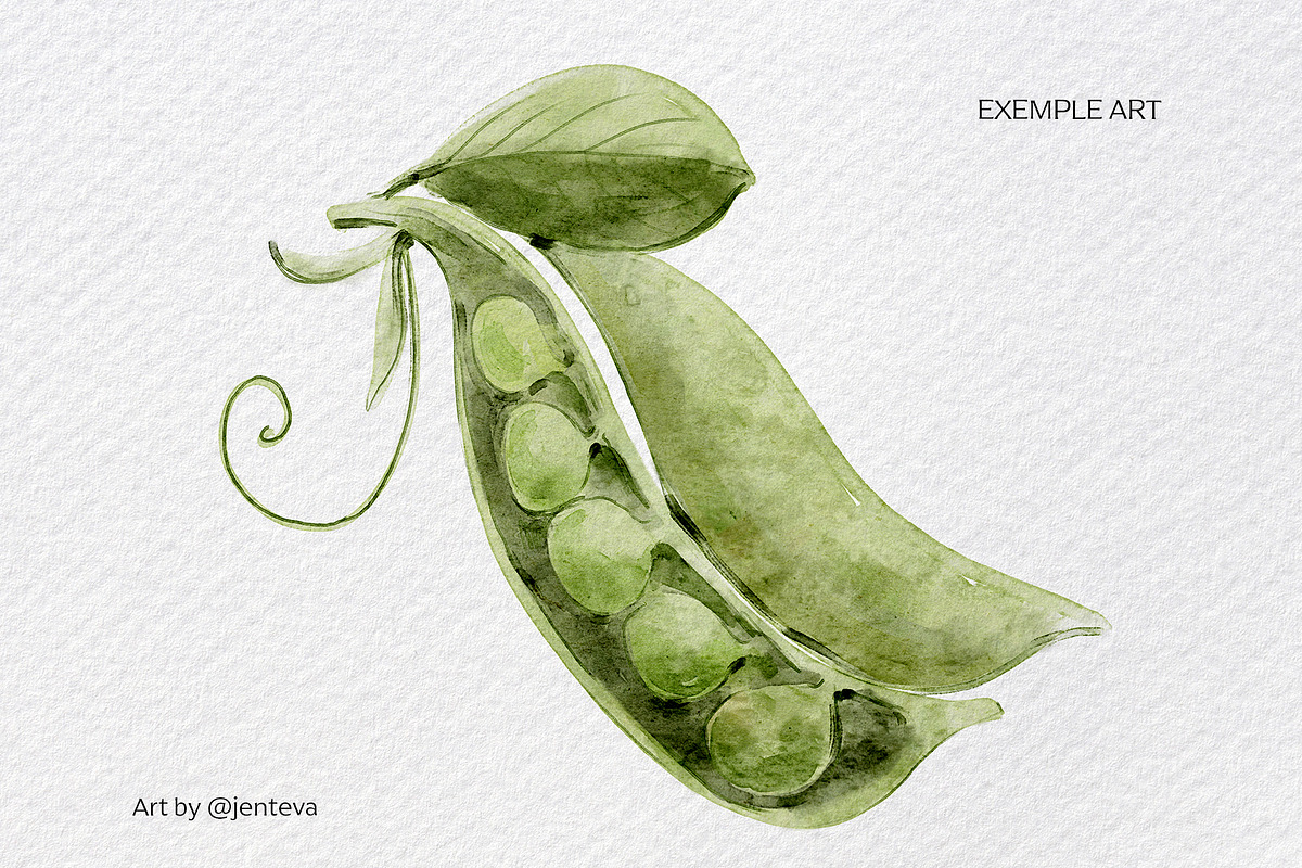 Realistic watercolor brushes - PS, a Brush Add-On by Jenteva Art (Photo 10 of 13)