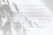 The Southern Font | Monoline Script, a Script Font by Jadatype.id (Thumbnail 10 of 11)