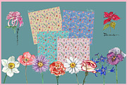 Birth Flower Clipart Digital Paper, a Decorative Illustration by VianneArt (Thumbnail 2 of 9)