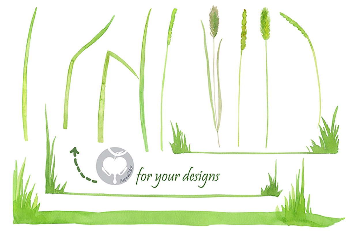 Watercolor handpainted clipart Grass, an Illustration by AqwaColor (Photo 4 of 4)