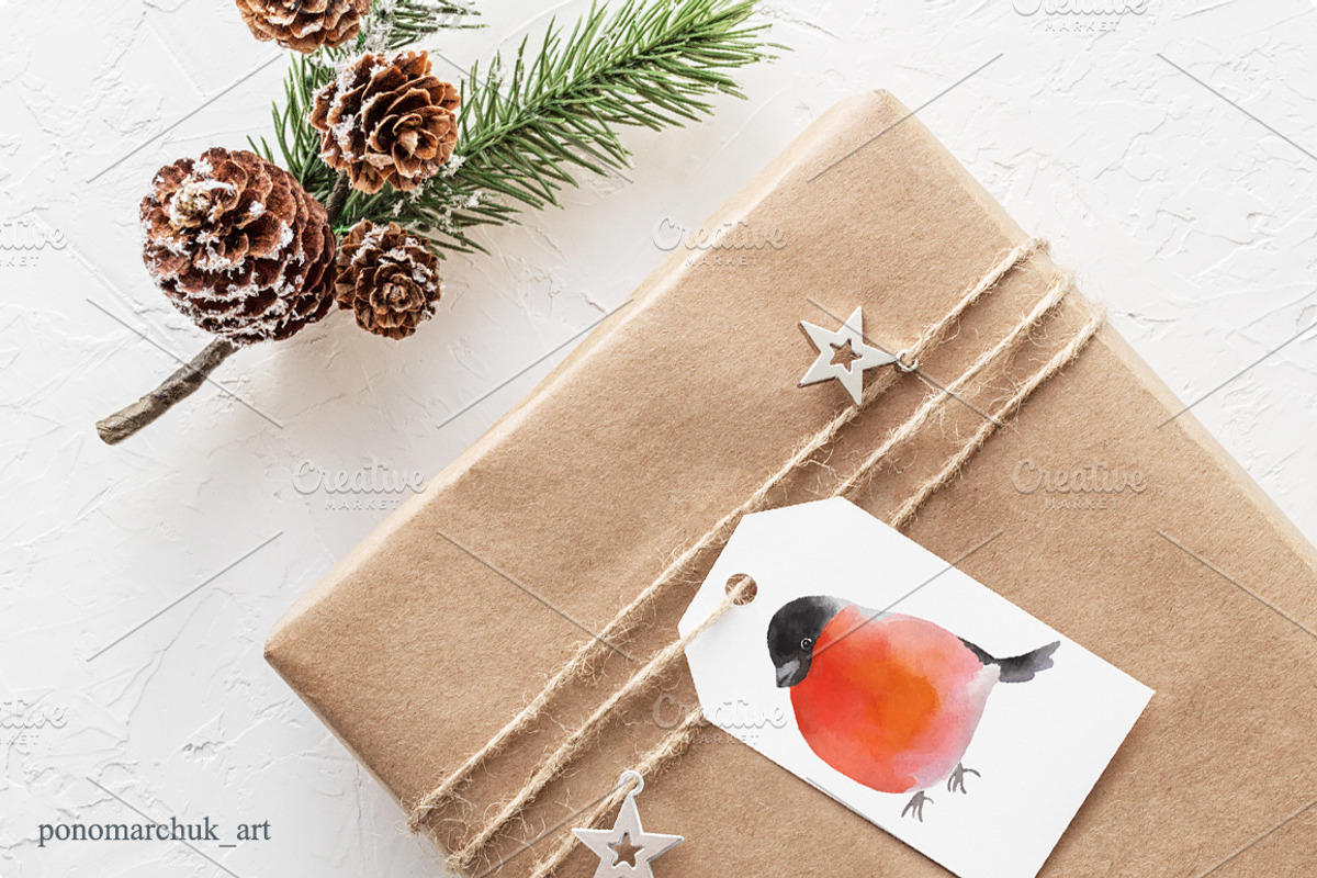 Winter Birds. Vector collection, a Decorative Illustration by Colibri Watercolor (Photo 6 of 9)