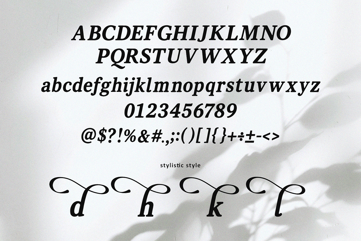 Vanielst Elegant Serif Stylistic, a Serif Font by Maulana Creative (Photo 4 of 7)