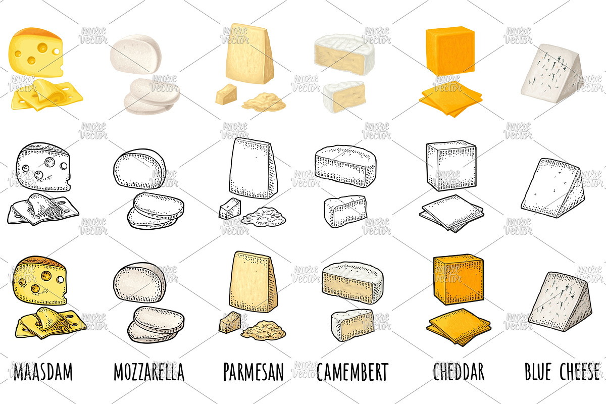 Different types cheese engraving, a Food Illustration by MoreVector (Photo 1 of 4)