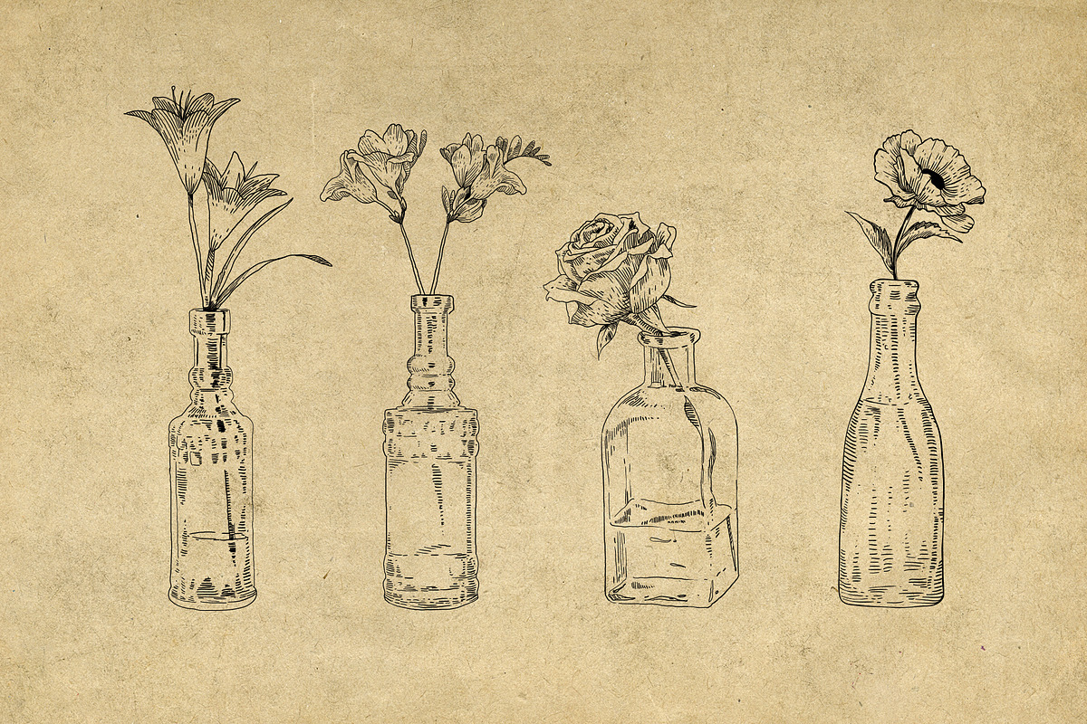 40 Vintage Floral Illustrations, an Illustration by Hatch Design Workshop (Photo 4 of 15)