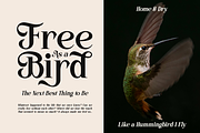 Kinder Land - Elegant Serif Font, a Serif Font by Say Studio (Thumbnail 3 of 9)