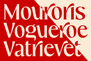 Mavitya, a Serif Font by Dora Typefoundry (Thumbnail 11 of 12)