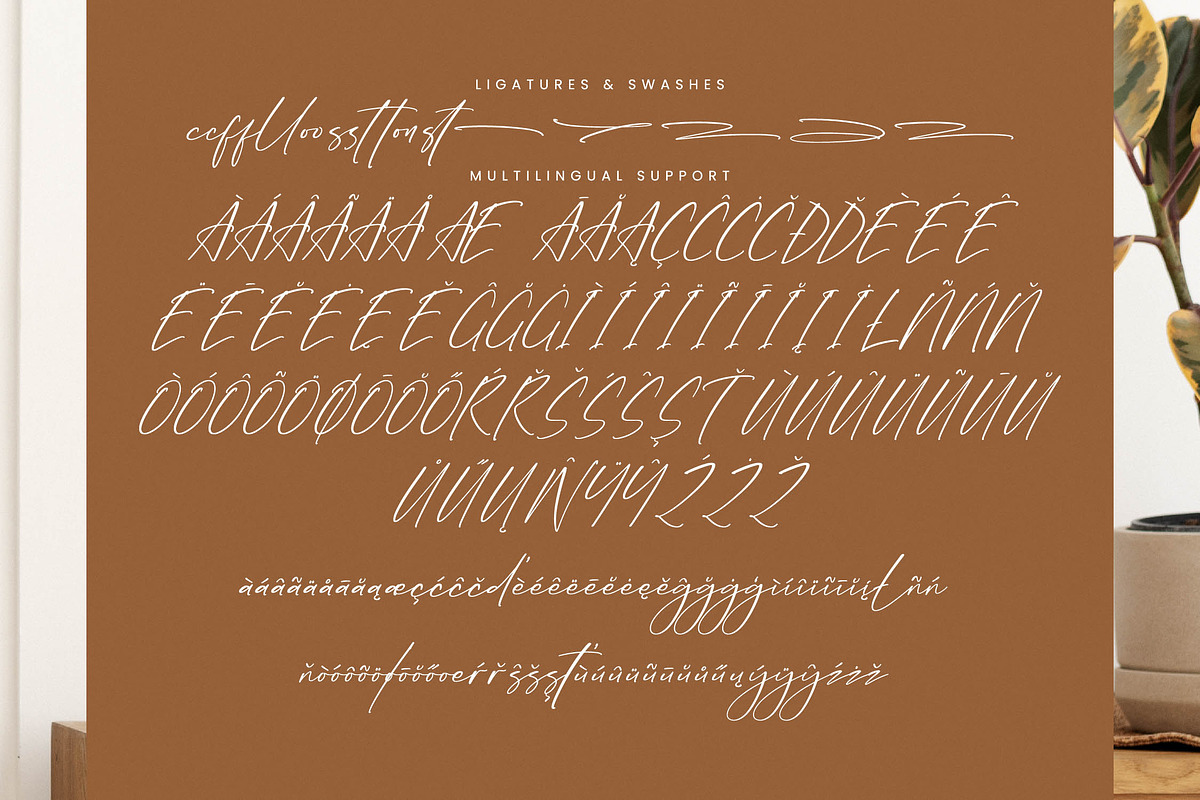 Bluebell Twilight, a Script Font by Integritype Studio (Photo 12 of 15)