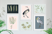 Equatorial Patterns Set!, a Wallpaper Graphic by Pink Linen (Thumbnail 2 of 12)