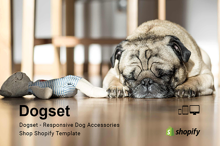 Dogset – Accessories Shopify Theme, a Shopify Template by ThemeTidy Shopify Agency