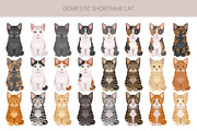 Domestic shorthair cat, an Animal Illustration by pet design shop (Thumbnail 4 of 6)