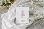 Meadow Mist: Pencil Floral Sketches, a Decorative Illustration by Yuliia Lashevska (Thumbnail 3 of 12)