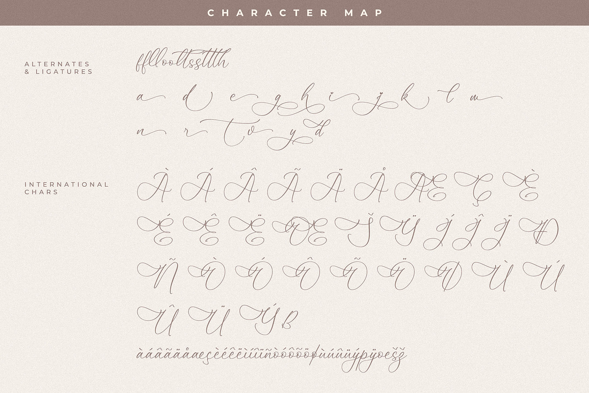 Ralsihten Beauty Calligraphy, a Script Font by Storytype Studio (Photo 14 of 15)