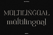 TAN - PARFAIT, a Serif Font by TanType (Thumbnail 11 of 21)
