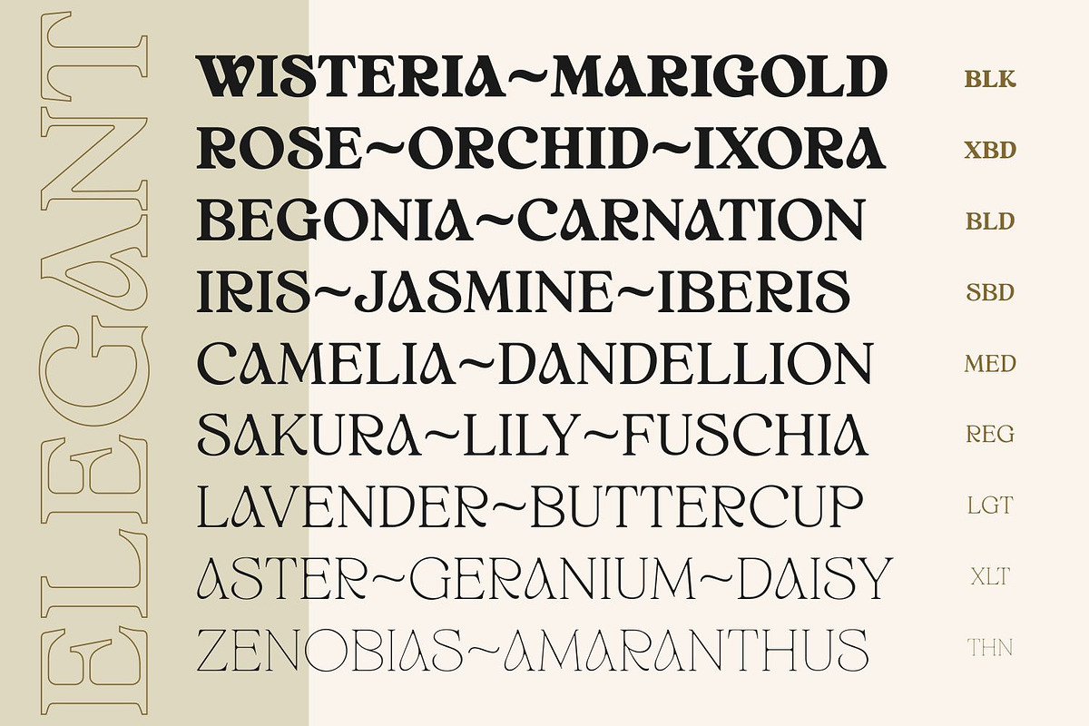 White Wisteria Fonts Family, a Serif Font by Asenbayu (Photo 9 of 13)