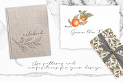 Persimmon Mediterranean ceramic tile, an Illustration by Alamella (Thumbnail 10 of 11)