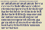 Stronger Feelings Font, a Serif Font by 177Studio (Thumbnail 8 of 9)