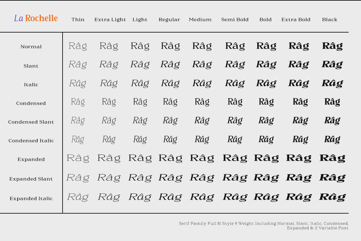 La Rochelle | Serif Family-83 Style, a Serif Font by Black Studio (Photo 6 of 15)