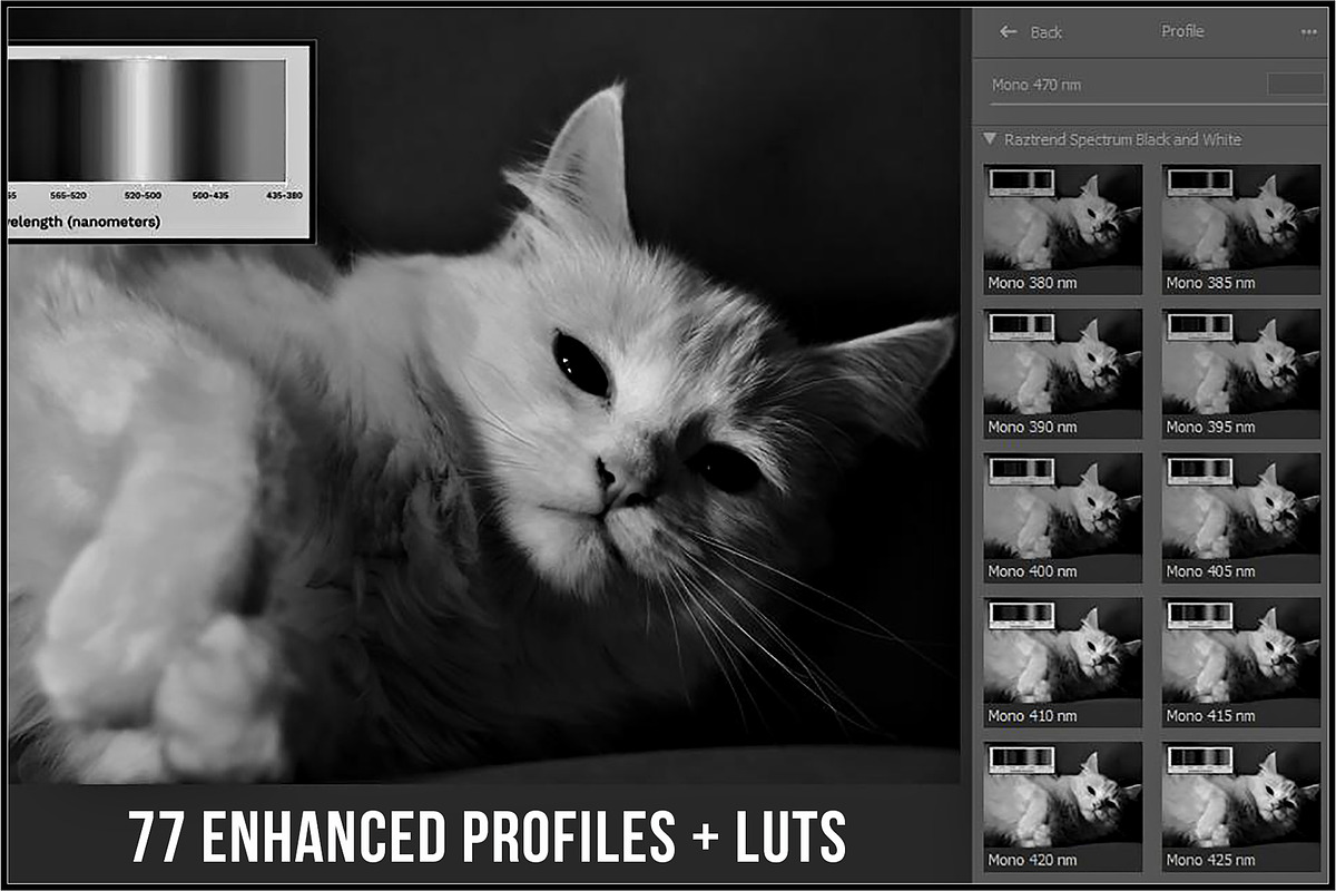 Spectrum Black & White profiles LUTs, a Plug-in Add-On by Raztrend (Photo 3 of 31)