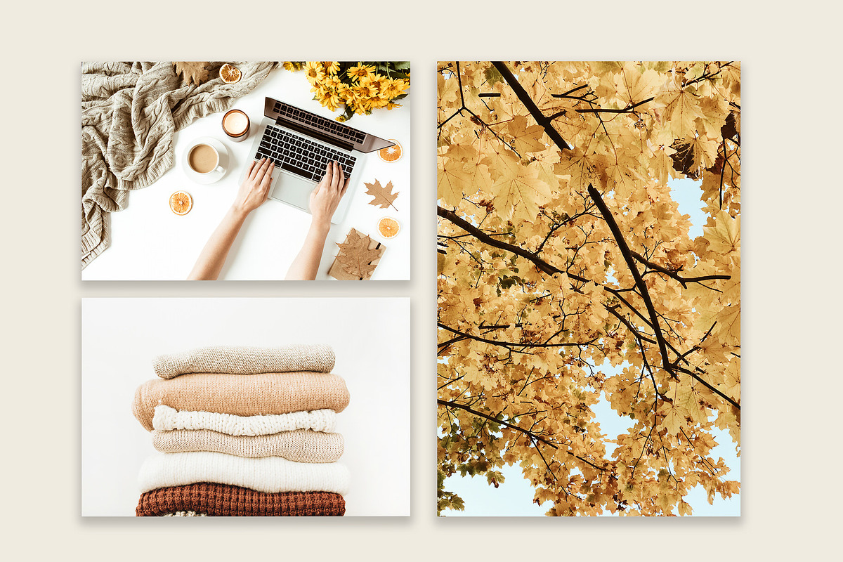 Fall Collection 1, a Beauty & Fashion Photo by Floral Deco (Photo 5 of 8)