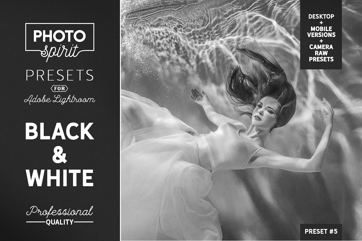 B&W LR Presets Mobile + Desktop, a Plug-in Add-On by PhotoSpirit (Photo 1 of 10)