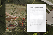 Rivoga Sans | Modern Organic Sans, a Sans Serif Font by The Gelato Type (Thumbnail 12 of 14)