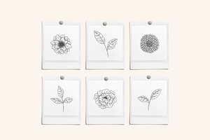 Bouquet Florals Vector Illustrations