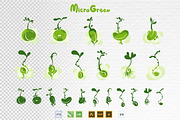 Microgreens Vector Set, an Object Illustration by ElenaKovalyova (Thumbnail 3 of 7)