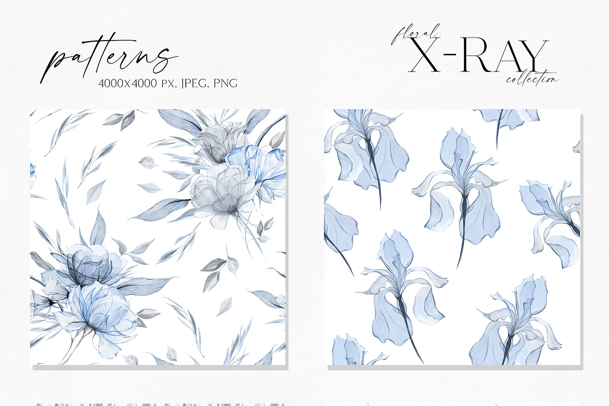 Icy Blue  - Transparent flowers, an Object Illustration by Olga Koelsch (Photo 14 of 16)
