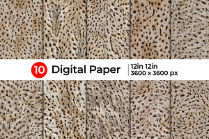 Realistic Cheetah Fur Texture