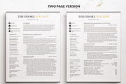 Elegant Resume CV Templates Word, a Resume Template by BestResumes.Co (Thumbnail 2 of 9)