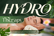 Brideside, a Serif Font by Burntilldead (Thumbnail 3 of 12)