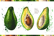Hand-drawn watercolor Avocado, a Food Illustration by Margo Miller (Thumbnail 1 of 12)