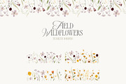 FIELD WILDFLOWERS watercolor, a Decorative Illustration by Lana Elanor (Thumbnail 6 of 12)