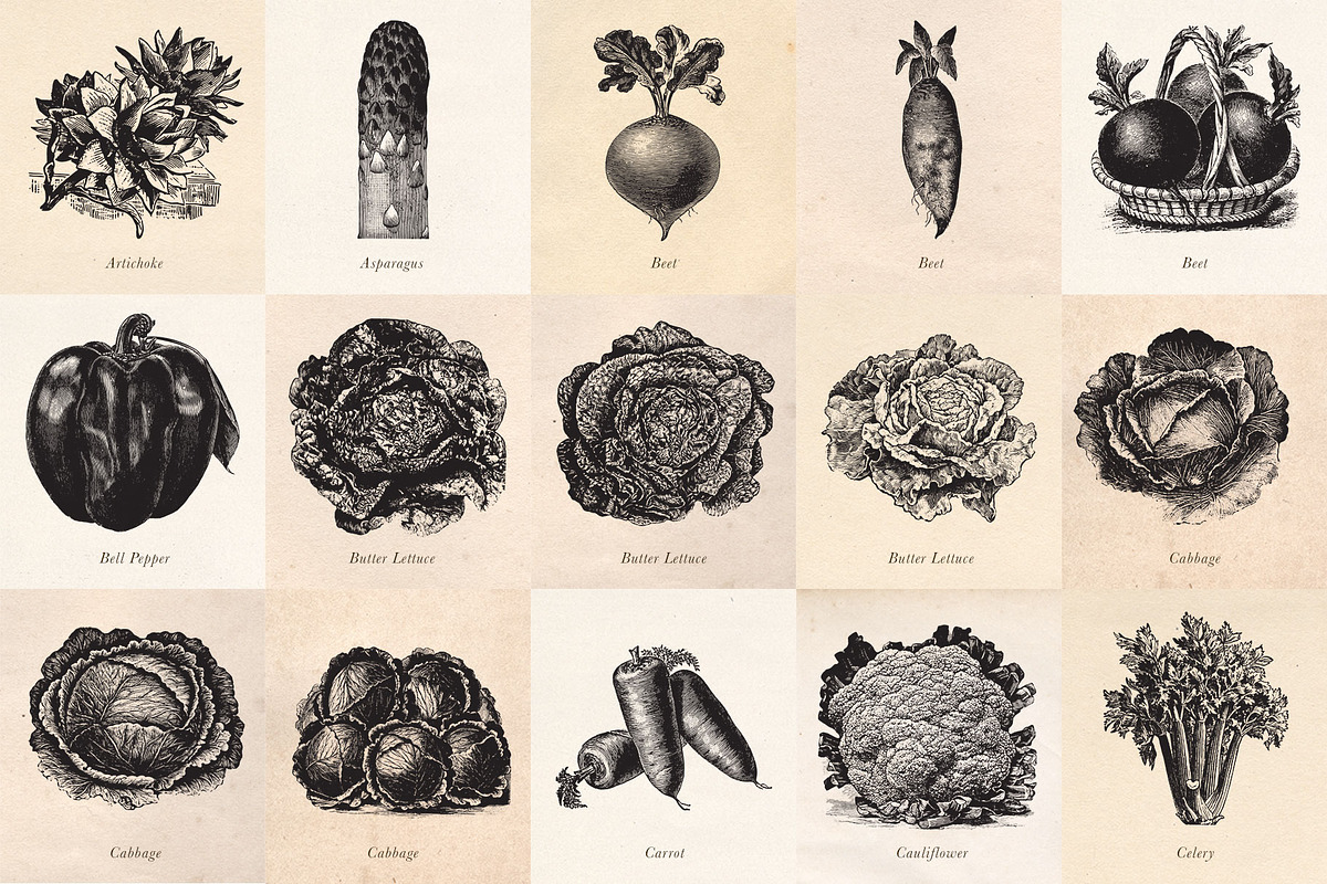 Vintage Fruit Vegetables & Flowers, an Object Graphic by Eclectic Anthology (Photo 2 of 11)